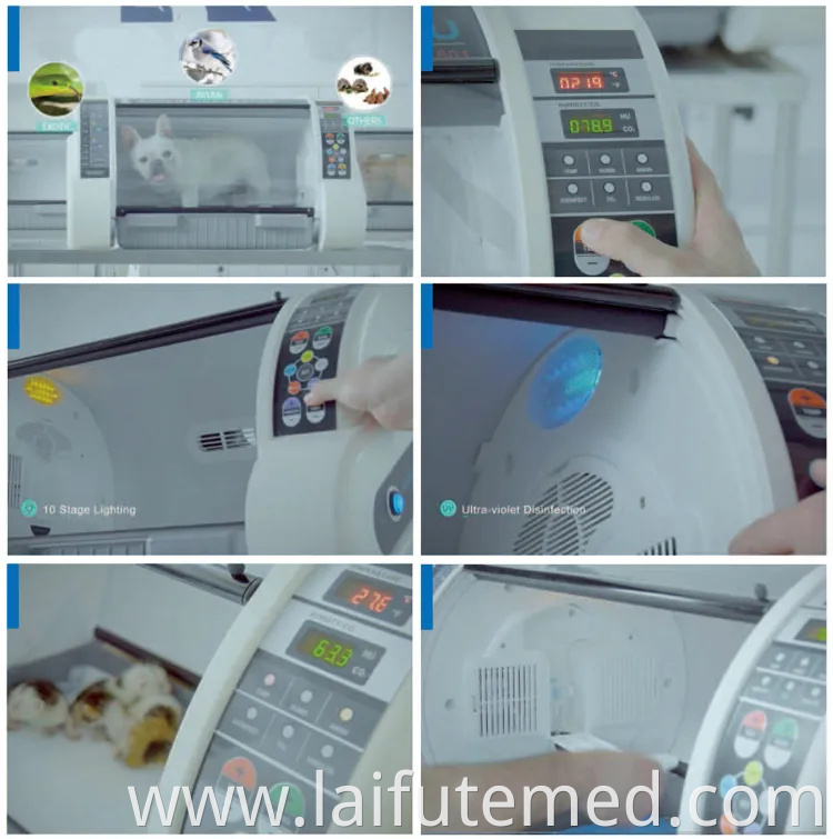 Hc-R052A Veterinary ICU Intensive Care Pet Incubator for Small Animals Dog Cat